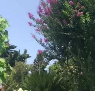خرید باغ ویلا در خزرشهر معاوضه ای